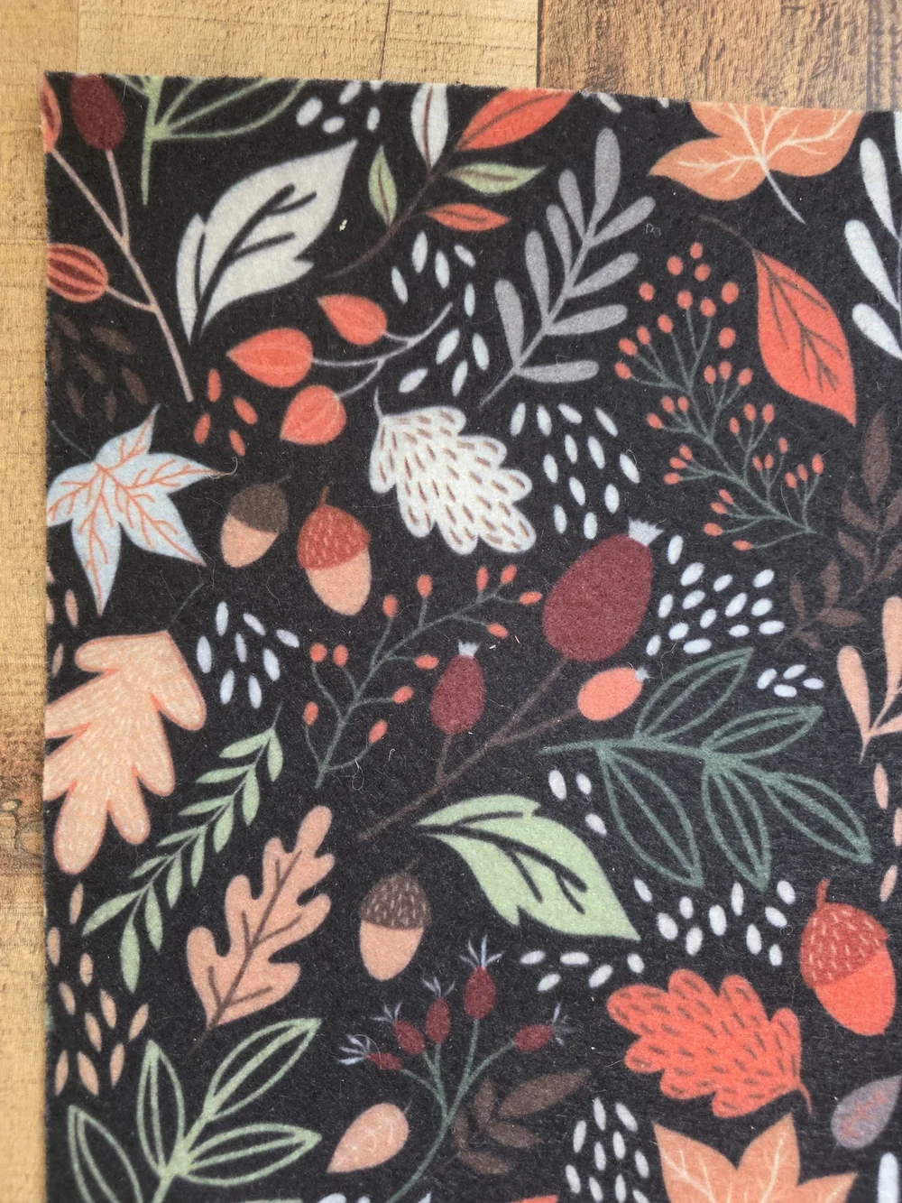 Hello Fall Doormat - Black with Colorful Autumn Leaves Acorns